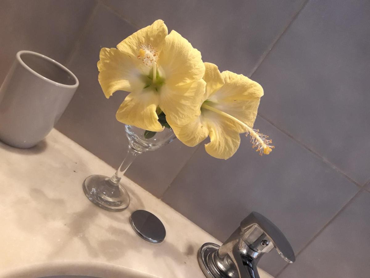 Apto Tipo Loft En Complejo Bahama, A Metros Del Mar Y Zona Muy Tranquila Punta del Este Exteriör bild